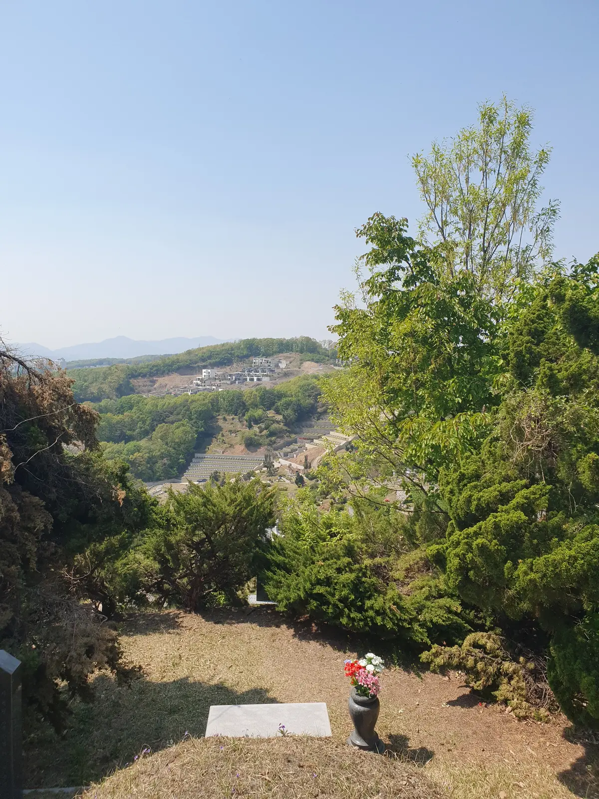 용인 부러진나무제거 부러진나무제거 시공 현장