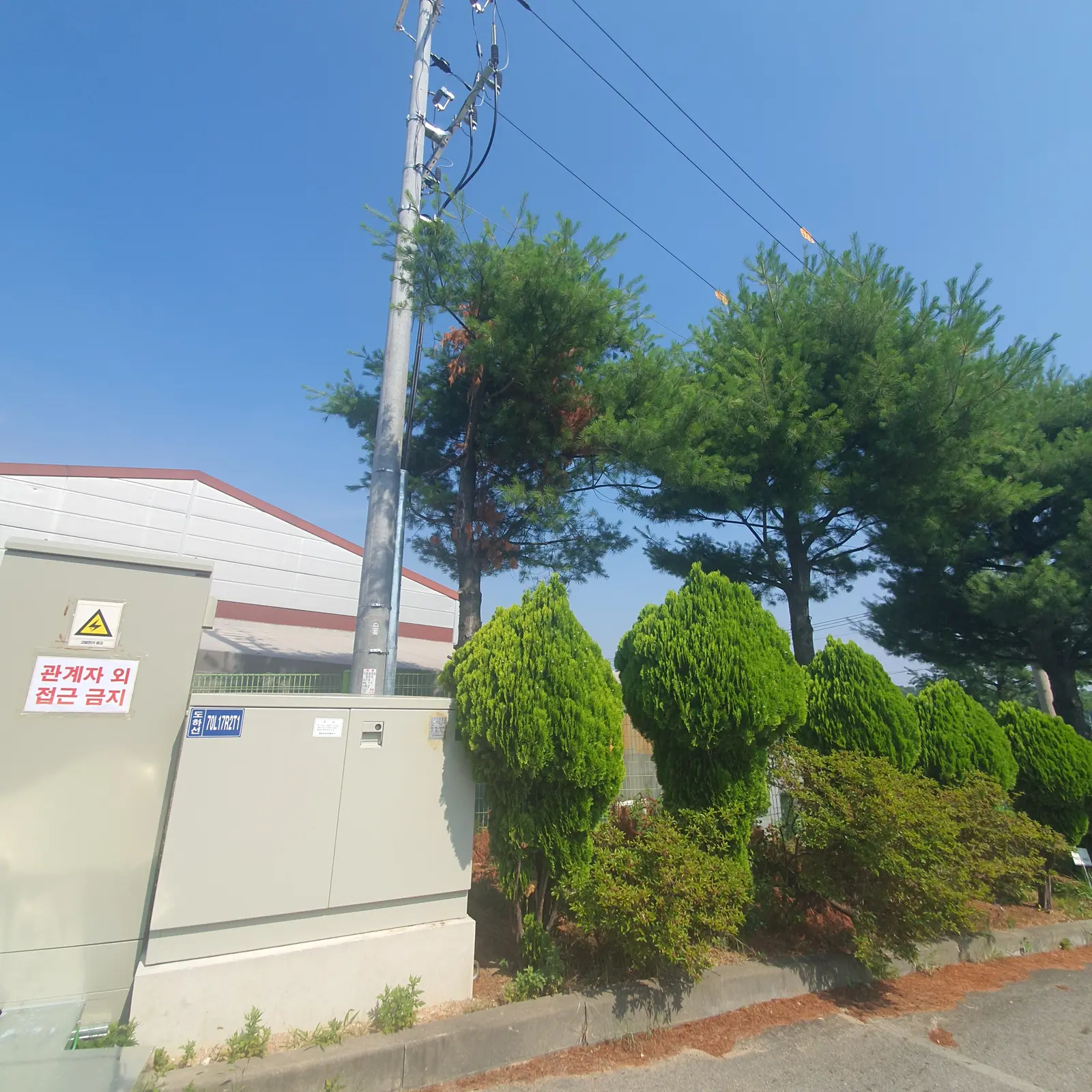수원 부러진나무제거 부러진나무제거 시공 현장